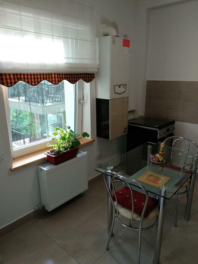 Apartmán Apartament Ramona Brašov Exteriér fotografie